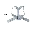 23929-6.webp